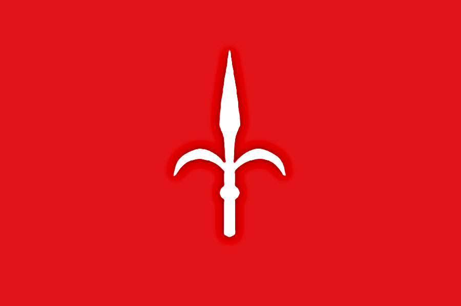 L’inestimabile ricchezza del Territorio Libero di Trieste, il proprio Registro Navale e la propria Aviazione Commerciale