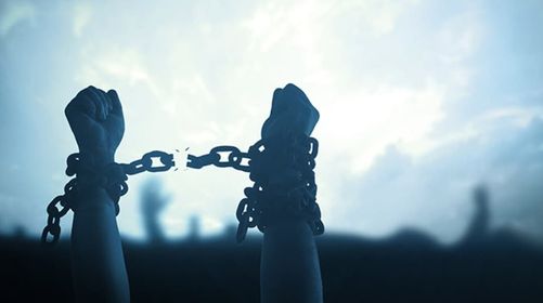 L’ideologia della Sopravvivenza